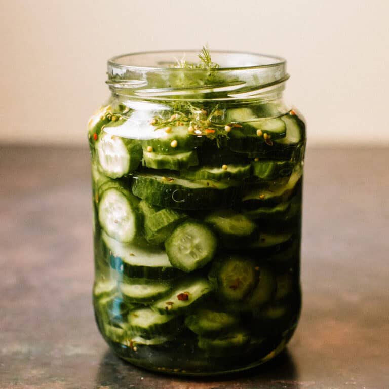 Jar of homemade cucumber dill pickles with fresh dill and spices – A beautifully styled jar of vibrant pickles, surrounded by fresh cucumbers and dill, showcasing their crisp texture and tangy flavour.